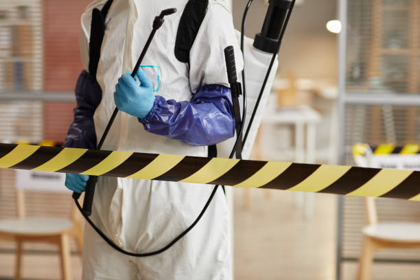 Professional Sewage Cleanup technician working in Bernardsville, NJ